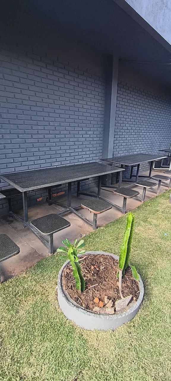 Mesa para Refeitório ou Diversos Ambientes - Foto 4