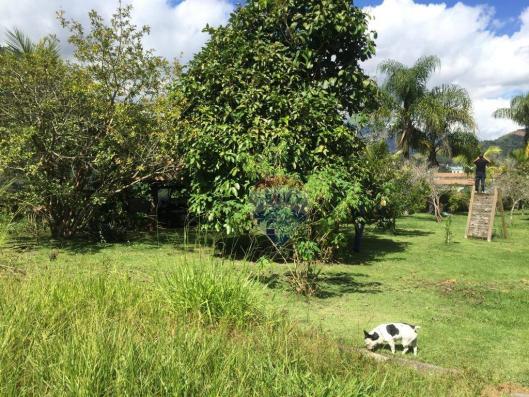 Terreno na granja brasil! - Foto 5