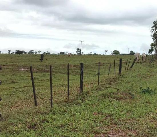 Oportunidade de Fazenda com 128 alqueires em Bataguassu Ms de frente p asfalto - Foto 5