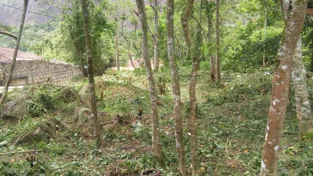 Lindo Terreno plano Àrea nobre do Vale dos Esquilos - Foto 11