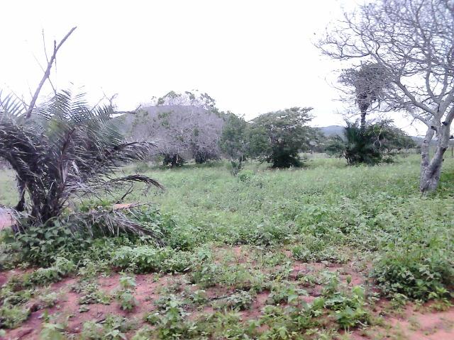 Chacara Vitória - Foto 10