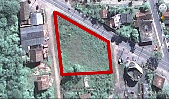 0169 Excelente Terreno de frente para a SC-415, para fins comerciais