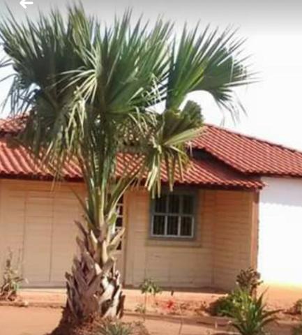 Chácara - Comunidade do Faria.Zona Rural Lavras MG