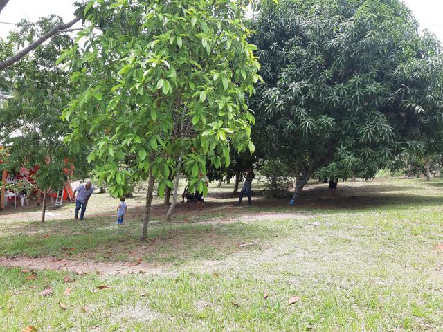 Alugo chácara M&D para eventos - Foto 12