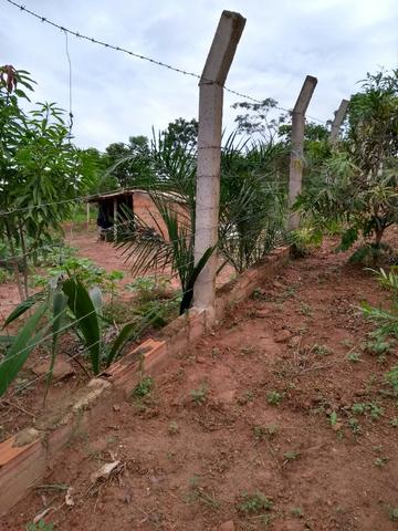 Chacara a venda 2,700 mt coleção de frutas mais de 200 especis dentro da cidade - Foto 4