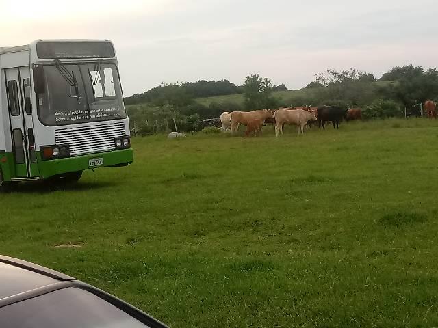 COMPRO CHÁCARA PARCELADO