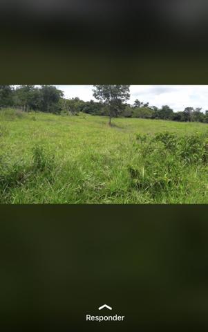 Fazenda próximo Araguari 72 Alqueires - Foto 3