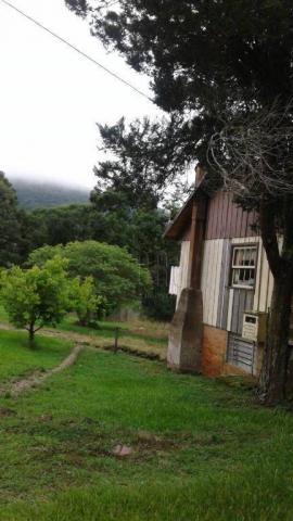 Sítio em gramado, linha tapera, 5 hectares - Foto 6