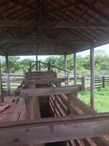 600 Hectares VENDA - Foto 2