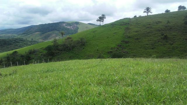 Linda Fazenda em Joaquim Gomes 60 hectares apenas 750 mil - Foto 2