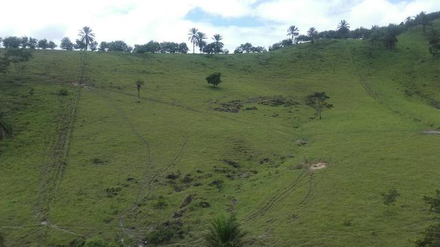 Linda Fazenda em Joaquim Gomes 60 hectares apenas 750 mil - Foto 7