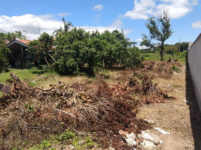 Terreno Próximo ao Porto de Itapoá - Foto 10