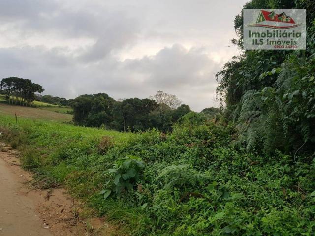 Chácara serrinha - Foto 6