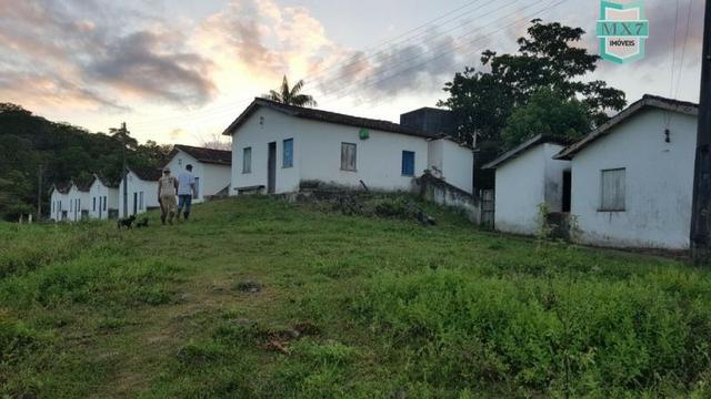 Barro Preto-BA. Fazenda de 167 Hectares. produção de cacau