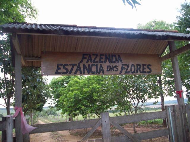 Cód. 5284 - Sítio em Cocalzinho de Goiás - Foto 4