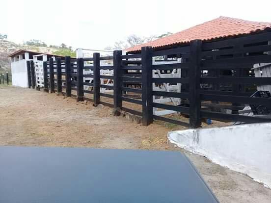 Fazenda de 791 tarefas, com sede nova e curral de ripão coberto com embarcador e balança - Foto 4