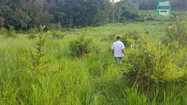 Barro Preto-BA. Fazenda de 167 Hectares. produção de cacau - Foto 17