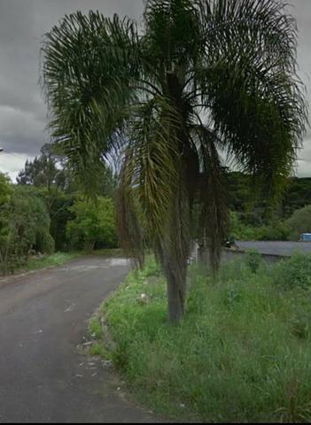 Proximo a rodovia da uva colombo, libera para construção de casas e apartamentos - Foto 6