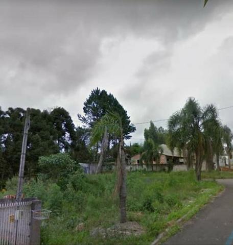 Proximo a rodovia da uva colombo, libera para construção de casas e apartamentos