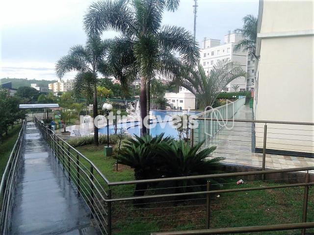 Loja comercial à venda em Camargos, Belo horizonte cod:766763 - Foto 3