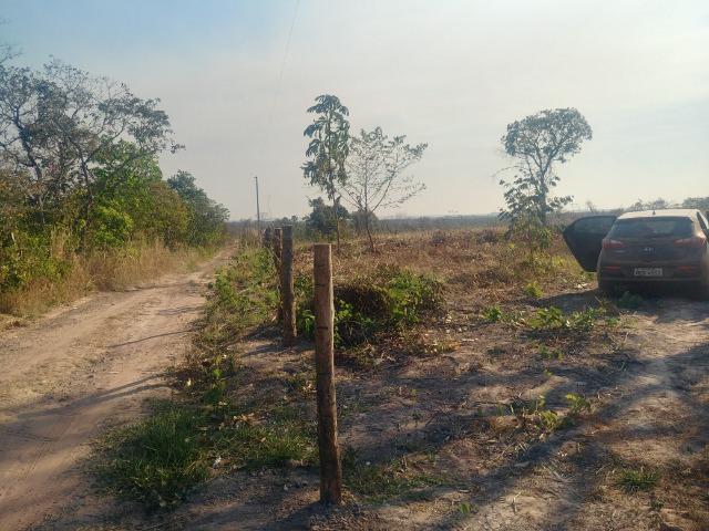 Propriedade Rural com 02 hectares - Foto 4