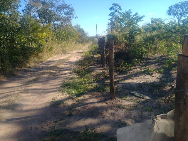 Propriedade Rural com 02 hectares - Foto 10
