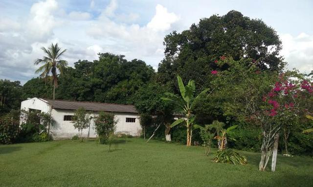 Fazenda - Foto 13