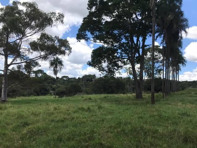 Fazenda - Foto 3