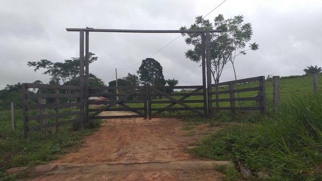 Fazenda - Foto 5