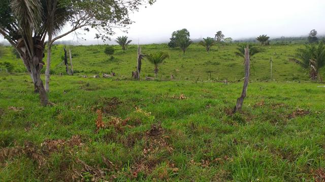 Fazenda - Foto 2