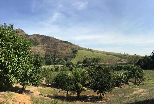 Terreno / Lote em Serra - Foto 13