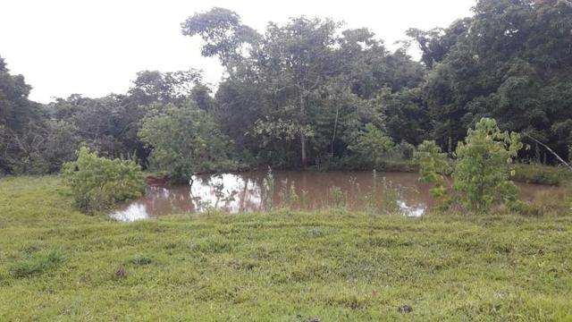 Fazenda - Foto 9