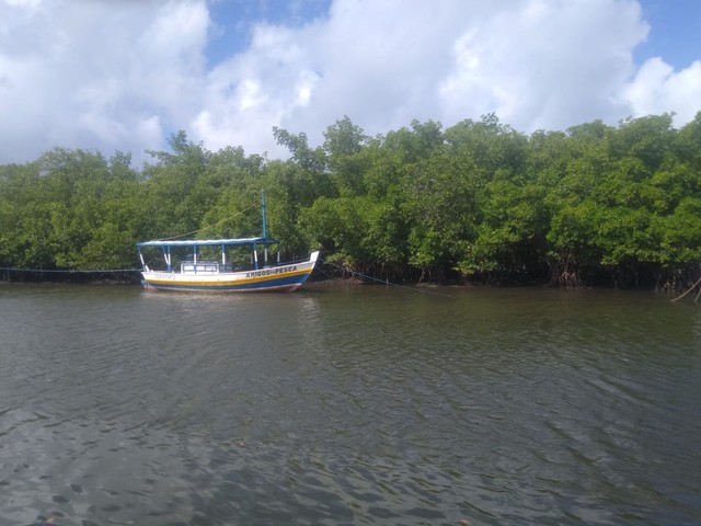 Barco de pesca 