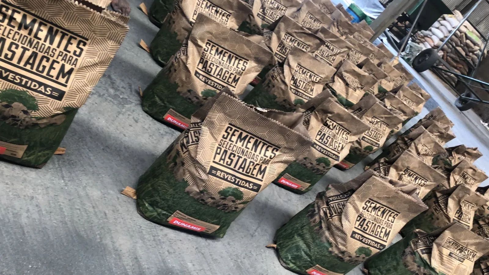 Sementes para Pastagem - garantia de germinação - sacos de 15 quilos - Foto 2