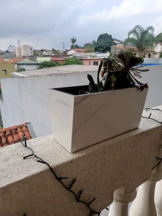 Vaso de Planta em Mármore