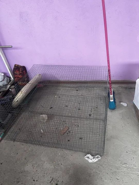 Gaiola grande bem ampla 