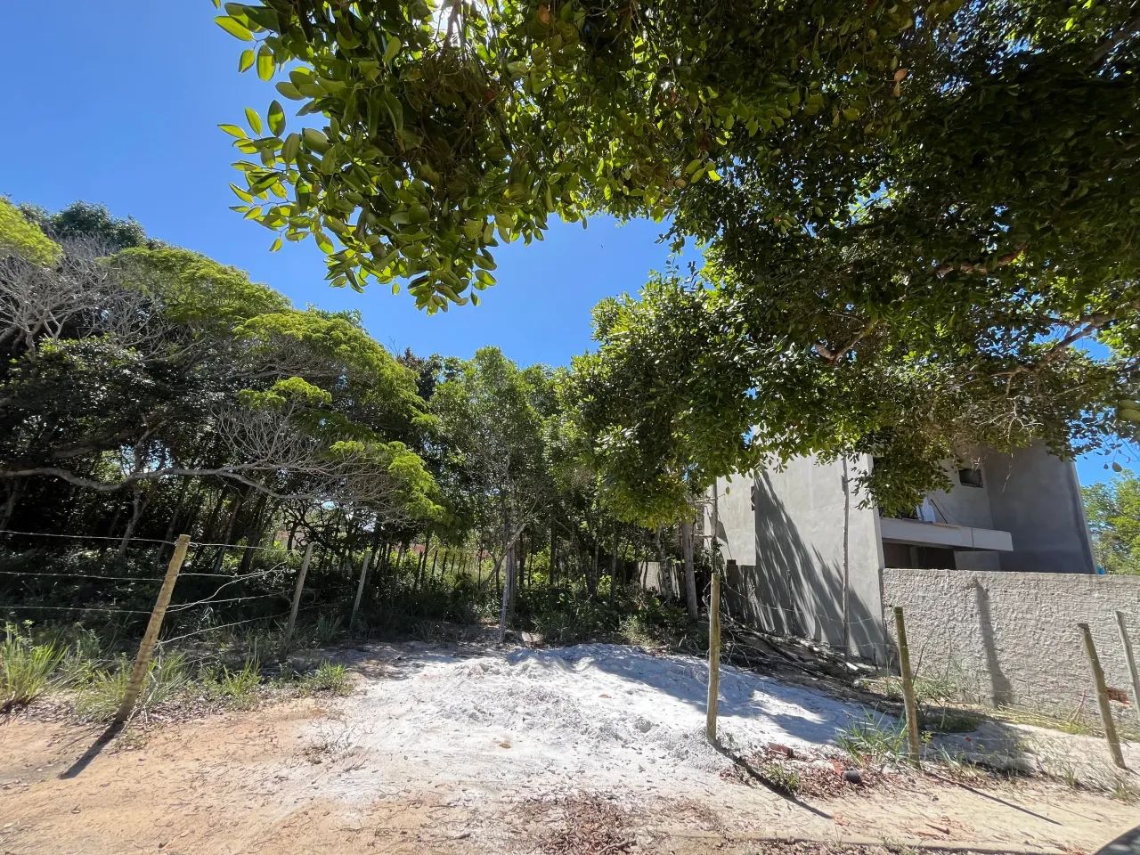 Terreno arborizado / 5 minutos da praia / villas 2 - Foto 2