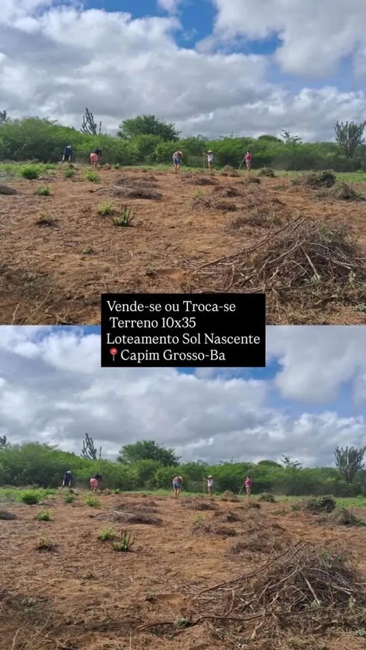 Foto - Capim Grosso - Planaltino II