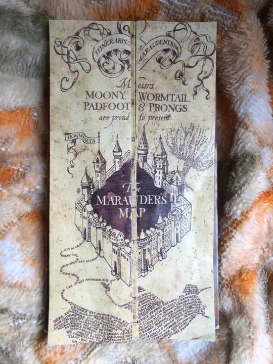 Harry Potter e a câmara secreta  - Foto 4