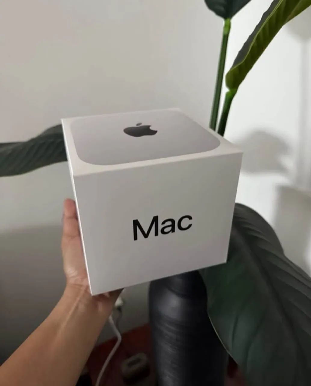 Mac Mini M4 na promoção ( modelo lacrado )