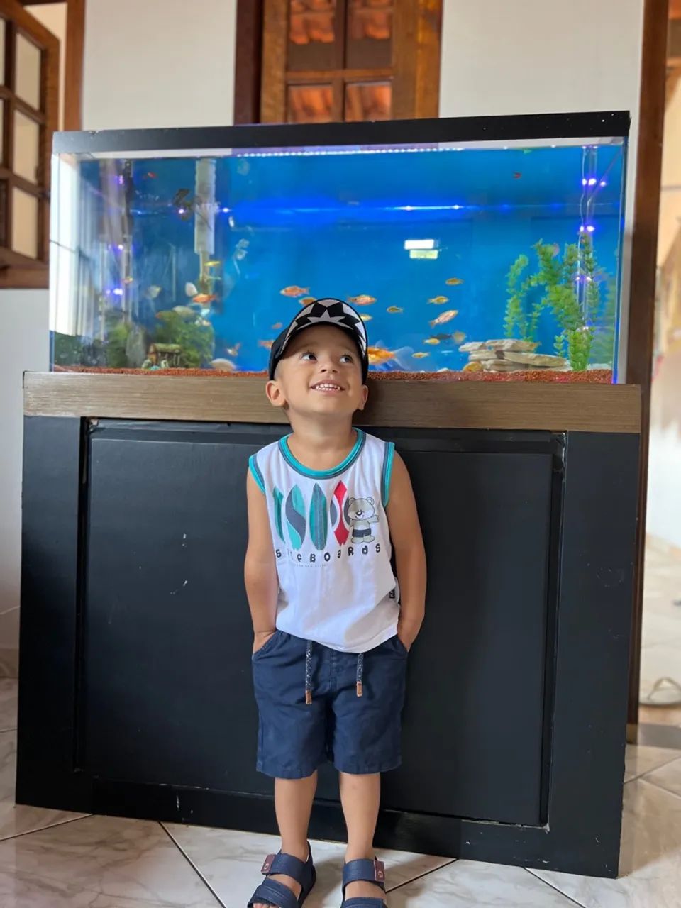 Aquário com Móvel e decoração completa.