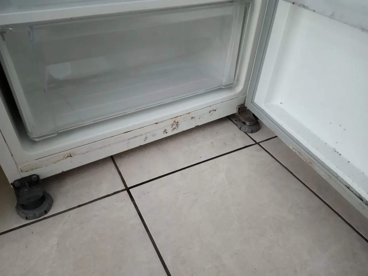 Geladeira duas portas Electrolux