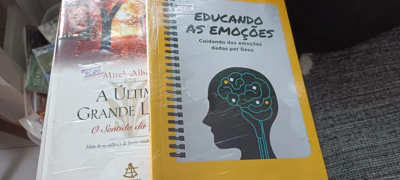 Livro Liderança Jovem e Crença Inabalável - Foto 4