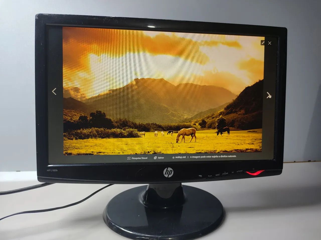 Monitor HP 19 Pol vga