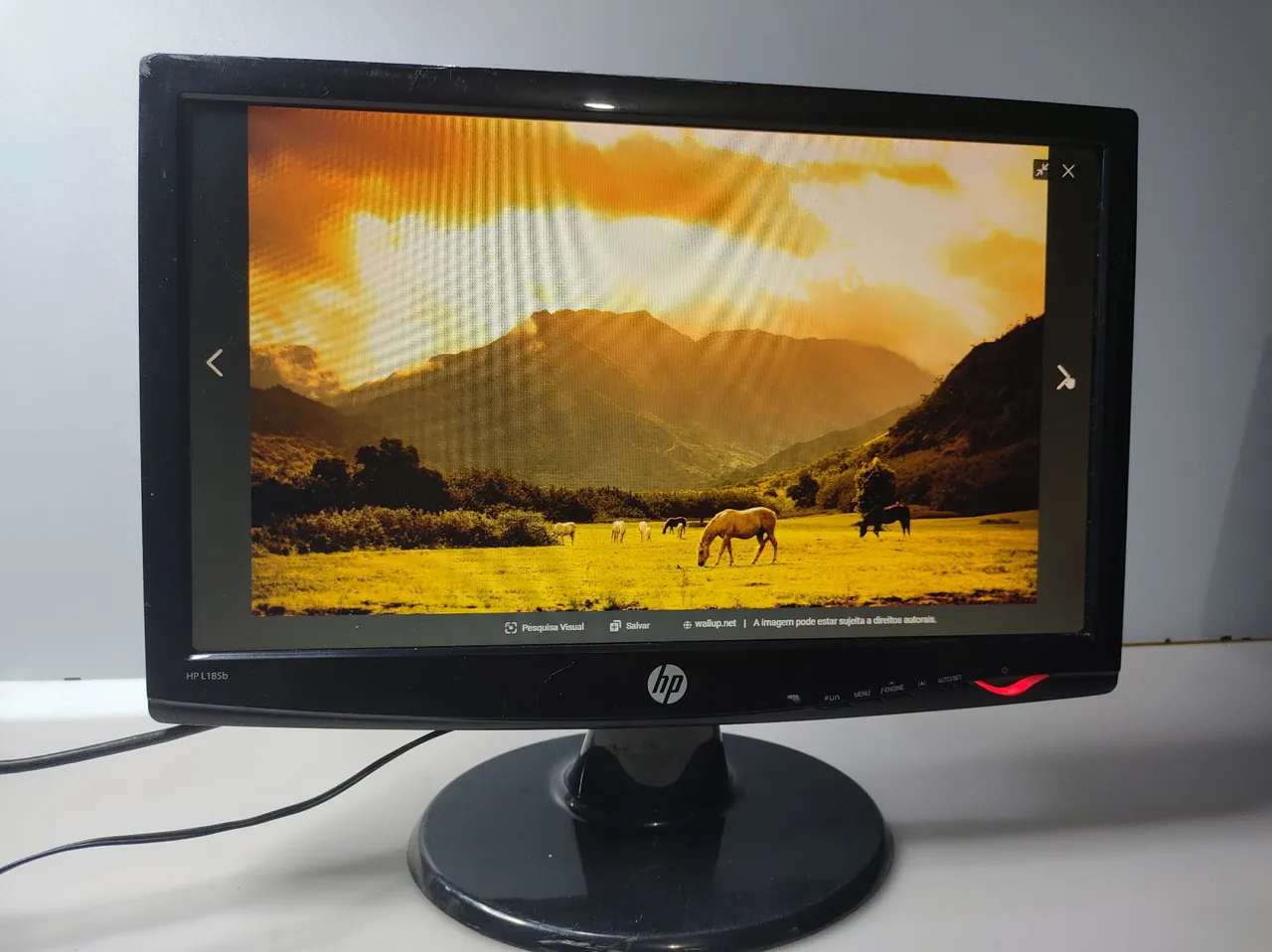 Monitor HP 19 Pol vga