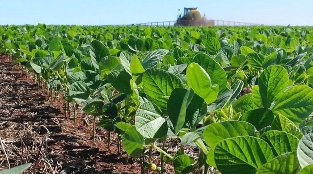 FAZENDA COM 550HECTARES PRA HF, BEM LOCALIZADA!!