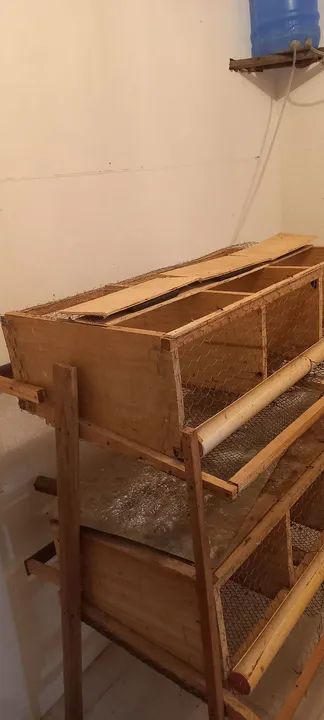 Gaiola para codornas bateria.. 2 andares