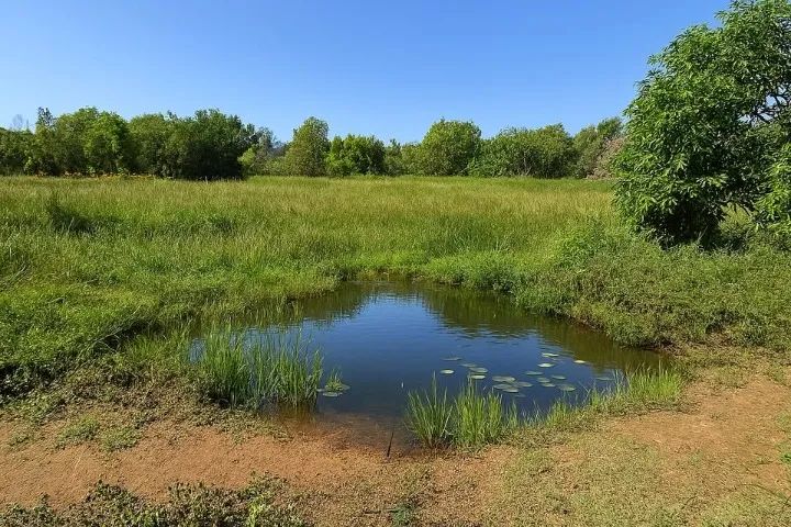  Promoção LOTES, escriturado , Praia Guarapari, R$ 5 mil de entrada e R$ 20 mil, troco  - Foto 8