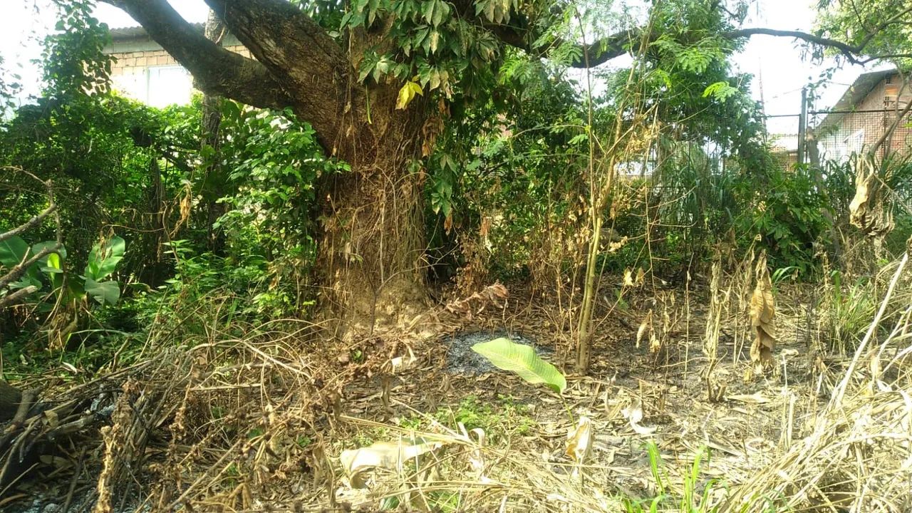 VENDE-SE TERRENOS E CASA - Foto 2