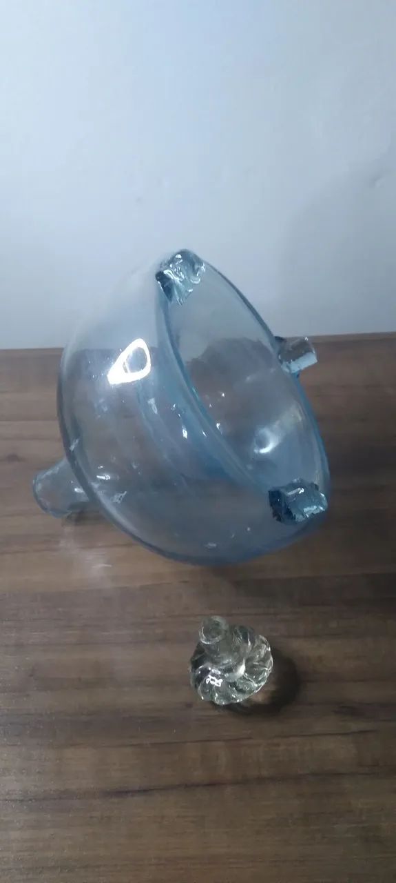 Raríssima armadilha pega-moscas - Foto 5